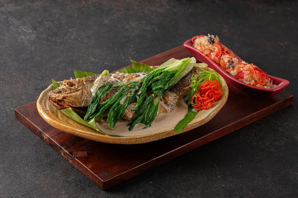 Gatang Tilapia